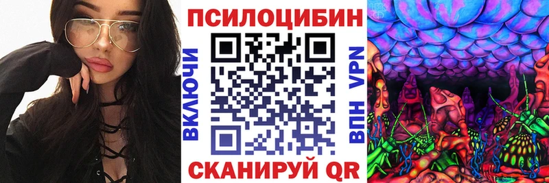 Псилоцибиновые грибы мицелий цена наркотик Алатырь