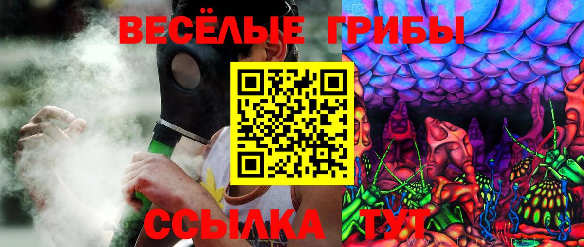 Псилоцибиновые грибы MAGIC MUSHROOMS Алатырь