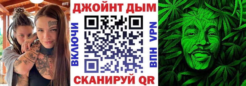 KRAKEN tor  Алатырь  Каннабис индика 